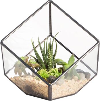 Small Inclined Cube Glass Geometric Terrarium, 4 of 7