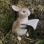 Rabbit With Book Fairy Garden Decoration In Gift Pouch, thumbnail 1 of 5