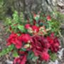 The Ruby Red Rose Bridal Bouquet, thumbnail 4 of 12