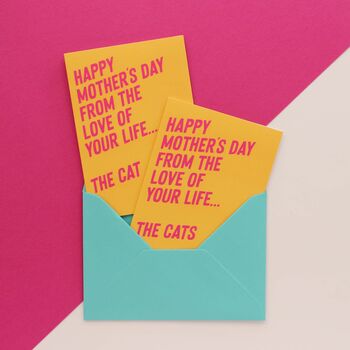 From The Love Of Your Life Cat Mother's Day Card, 5 of 6