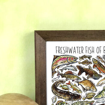 Freshwater Fish Of Britain Wildlife Print, 4 of 7