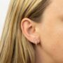 Hoop Earrings With Cubic Zirconia In Sterling Silver, thumbnail 1 of 8