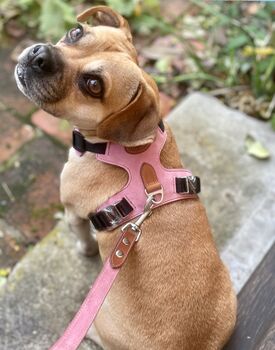 Pink Leather Dog Lead, 3 of 6