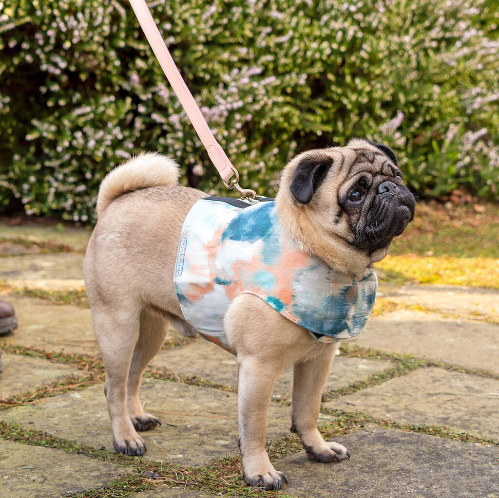 Watercolour Cotton Dog Harness By Mutts & Hounds