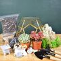 Gold Geometric Terrarium Kit With Succulent Plant Lover Gift, thumbnail 12 of 12