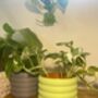 3D Printed Bubble Plant Pot – Gardening Gifts, thumbnail 6 of 9