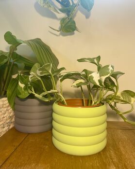 3D Printed Bubble Plant Pot – Gardening Gifts, 6 of 9