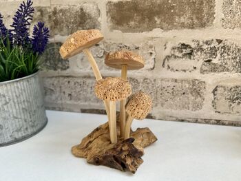 Hand Carved Shitake Wood Mushrooms On Driftwood Base, 11 of 11