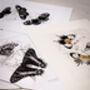 Framed Set Of Two Vintage Butterfly Art Prints, thumbnail 8 of 9