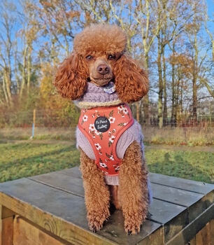 Peach And Ivy Blossom Dog Harness, 3 of 4