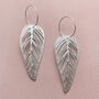 Silver Plated Leaf Hoop Earrings, thumbnail 3 of 4