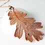 Oak Real Leaf Statement Necklace, thumbnail 6 of 12