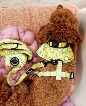 Zesty Butter Meadows Floral Dog Harness, 3 of 8