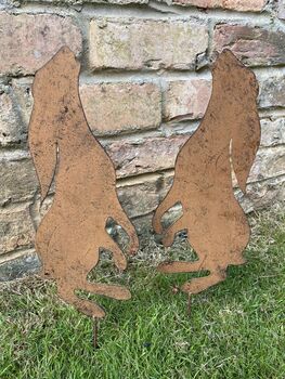 Pair Of Moongazing Hares, 7 of 9