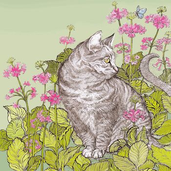 'Cat And Hostas' Print, 3 of 3