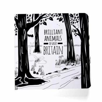 Black And White Baby Book Of Animals, 4 of 7