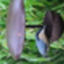 Metal Bird Feeder, thumbnail 6 of 6