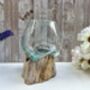 Handcrafted Molten Glass Bowl On Natural Driftwood, thumbnail 4 of 6