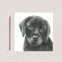 Adorable Labrador Puppy Hand Drawn Card, thumbnail 7 of 7