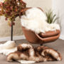 Sheepskin Rug In Various Colours, thumbnail 1 of 9