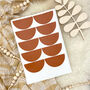 Scallop Wall Stickers, thumbnail 5 of 7