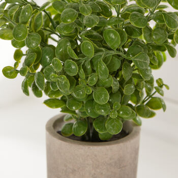Faux Basil Plant In Stone Effect Pot, 4 of 5
