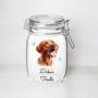 Personalised Vizsla Kilner Style Dog Treat Jar B, thumbnail 1 of 2