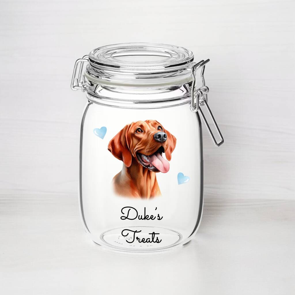Personalised Vizsla Kilner Style Dog Treat Jar B, 1 of 2
