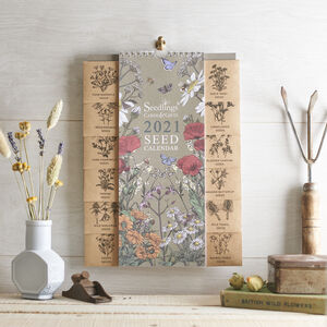2021 Calendar With Seeds By Seedlings Cards Gifts Notonthehighstreet Com