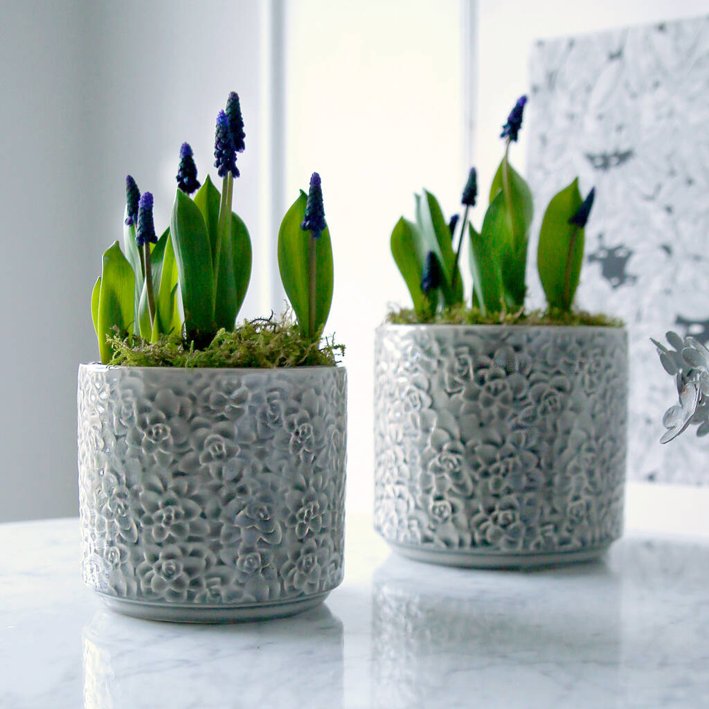 Grey Flora Plant Pot