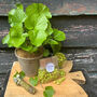Personalised 60th Birthday Wasabi Gift Crate, thumbnail 1 of 6
