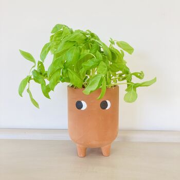 Terracotta Plant Pot On Legs, 2 of 4