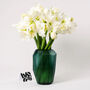 Polar White Amaryllis Fresh Flower Bouquet, thumbnail 1 of 2