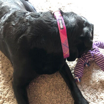 Purdy In Pink Harris Tweed Dig Bow Tie, 4 of 7