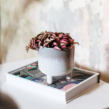 Mojave Glaze Grey Planter, 3 of 3