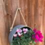 Hanging Zinc Silver Round Wall Planter – 20cm Plant Pot, thumbnail 5 of 6