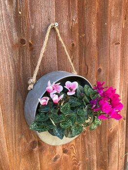 Hanging Zinc Silver Round Wall Planter – 20cm Plant Pot, 5 of 6
