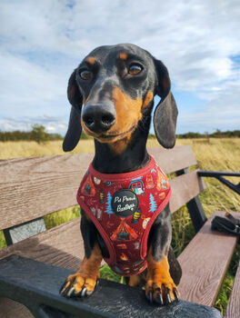 Great Adventure Dog Harness, 7 of 7