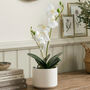 Potted Artificial White Orchid, thumbnail 1 of 5