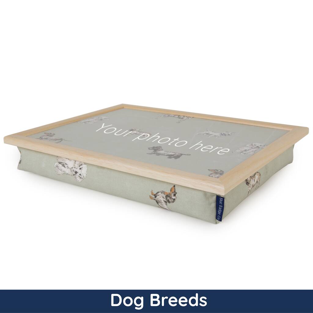 Personalised Bean Bag Cushion Animal Fabric Lap Tray By Blue Badge Co