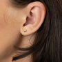 Faceted Star Stud Earrings, Silver Or Gold Plated, thumbnail 3 of 7