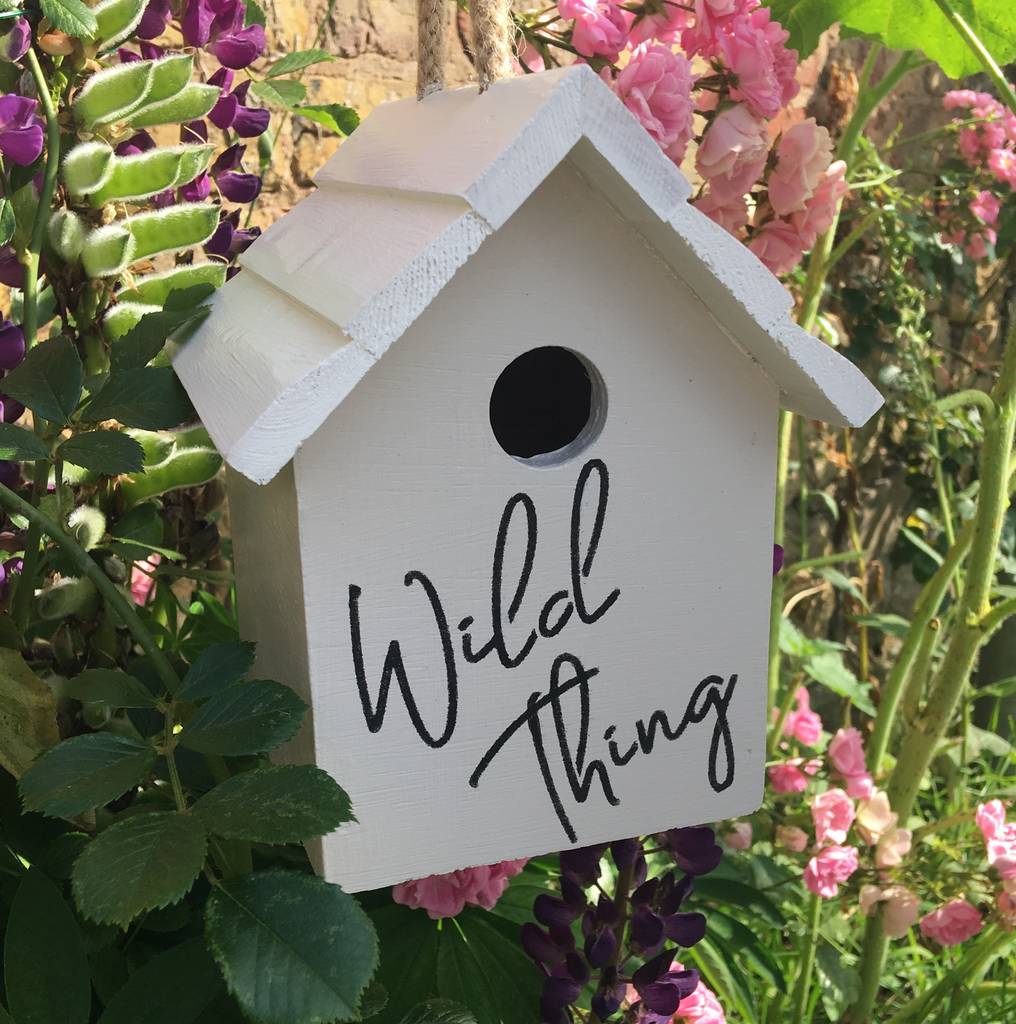Wild Thing Birdhouse By The Painted Broom Company | notonthehighstreet.com