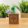 Have A Roar Some Birthday Tiny Little Gifts, thumbnail 1 of 3