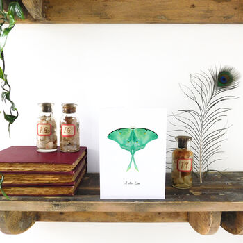 Luna Moth Butterfly A6 Greetings Cards, 2 of 7