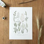 Botanical Meadow Grasses Chart Giclée Print, thumbnail 3 of 3