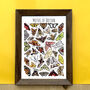 Moths Of Britain Wildlife Print, thumbnail 1 of 10