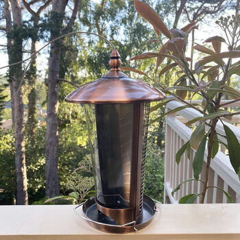 Dual Seed And Nut Bird Feeder With Copper Finish, 5 of 9