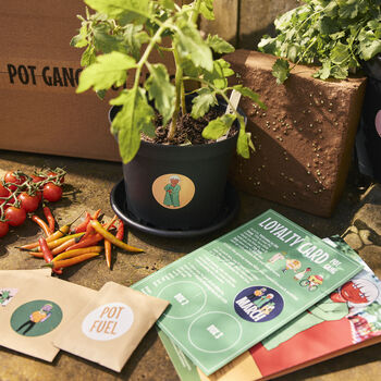Beginner Grow Your Own Veg And Herb Kit, 10 of 10