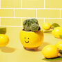 Ceramic Happy Face Planter, thumbnail 3 of 3
