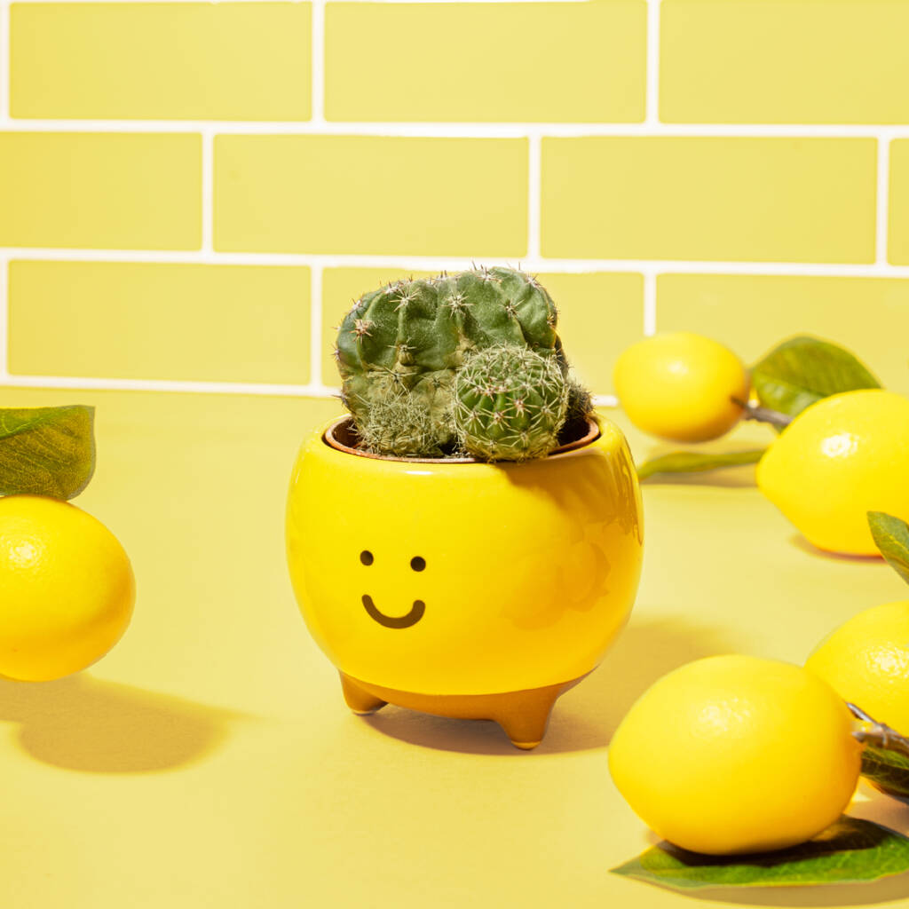 Ceramic Happy Face Planter